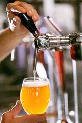 Fototapeta na wymiar Draught Beer. Closeup Pouring Fresh Beer In Glass