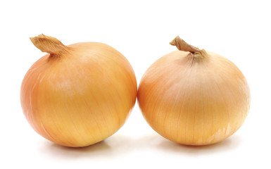 Two yellow bulbs.