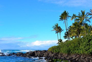 Fototapeta na wymiar Rocky area near coast and blue sky, Haleiwa, Hawaii