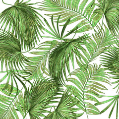 Obraz na płótnie Canvas leaves of palm tree on white background