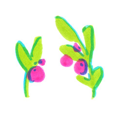 Illustration of two branches of cranberry bush with leaves and berries painted in highlighter felt tip pen on clean white background