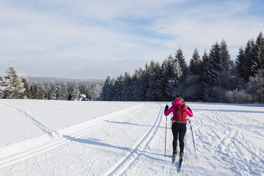 Cross country ski location, Liberec, Czech Republic