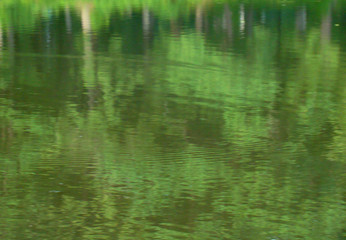 Fototapeta na wymiar View on the green water surface