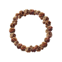 vector Winter, christmas, xmas, new year wreath 