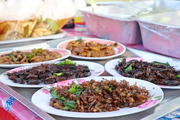 Fried Insect at street food