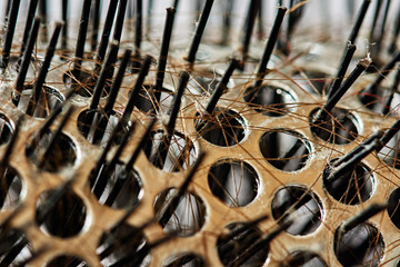 A fragment of a circular massage comb under a microscope. There are visible pins for combing hair,...