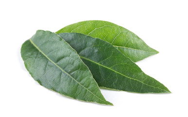 Fototapeta premium Bay leaves isolated on white background