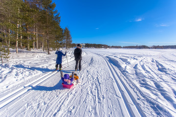 Ski trail view from Sotkamo, Finland