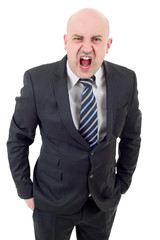 businessman yelling