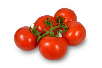 Tomatoes isolated on white background