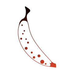 banana fruit isolated vector illustration graphic design