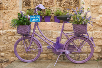 Fototapeta na wymiar Bike completely colored in purple