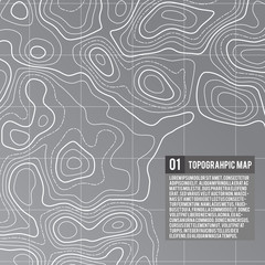 Vector topographic map background. Business concept. Abstract vector illustration