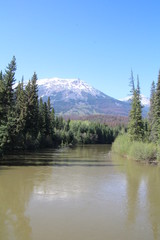 Fototapeta na wymiar Miette River, Jasper National Park, Alberta