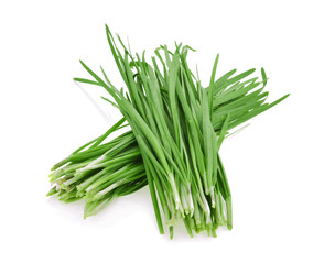 Garlic chives on white background