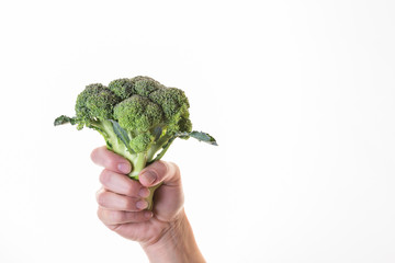 broccoli in hand on white background, isolate, fresh vegetables, concept, copy space