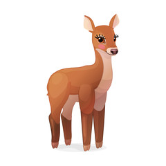 vector red deer young doe. Cervus elaphus, reindeer 03