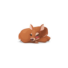 Fototapeta premium vector red deer young doe. Cervus elaphus, reindeer 04