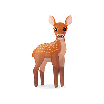 vector spotty fawn, baby red deer, young little bambi 04