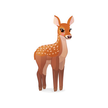 vector spotty fawn, baby red deer, young little bambi 06