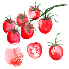 Set tomatoes drawn background