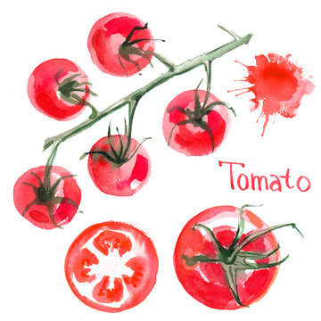 Set tomatoes drawn background