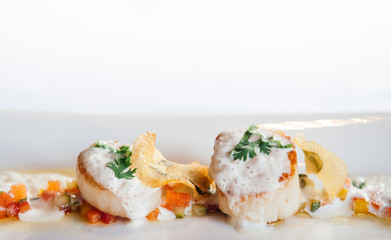 Grilled scallops on a white plate with creamy foam sauce, fine dinning cuisine