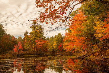 A beautiful lake in the autumn forest. Beautiful autumn colors, the calm surface of the lake, relaxing autumn conditions. USA. Maine.
