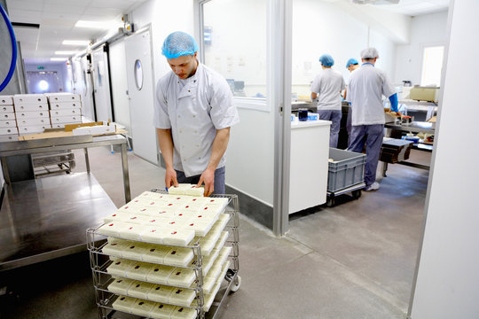 Cheese maker packing cheeses to send off to suppliers