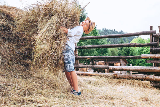 Boy helps on farm. Brings the hay for farm animals