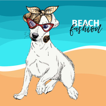 Vector portrait of Jack Russel terrier dog wearing sunglasses, retro bandana. Summer fashion illustration. Vacation, sea, beach, ocean. Hand drawn pet portait. Poster, holiday, postcard, summertime.