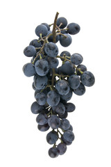 blue grapes isolated on white background