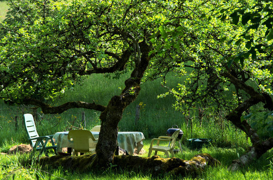 Ein Grillplatz an der Doubs in Frankreich