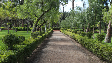 Park i ścieżka z zielenią wokół