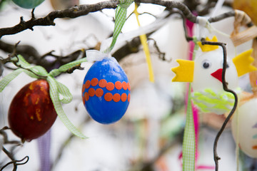 Ostereier hängend auf Osterstrauch, Ostern