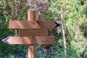 three direction signs, arrows pointing in the woods