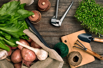 Red potatoes on burlap, garlic with greenery and a garden spade and rake on a wooden brown...