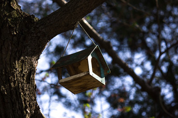 Sunlight birdhouse