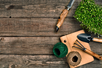 Gardening tools and greenery on wooden table. Spring in the garden