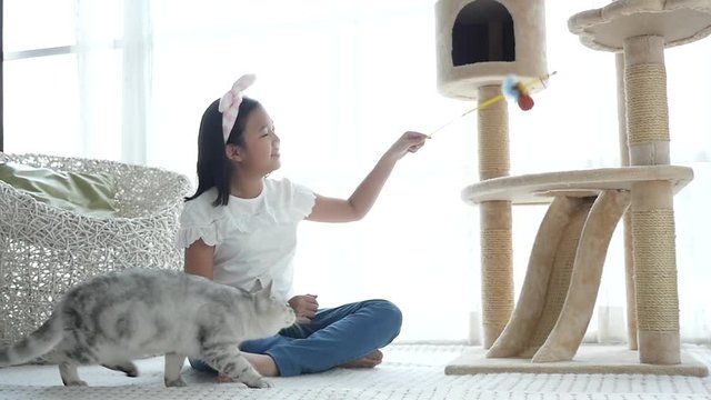 Cute Asian girl playing with kitten slow motion 