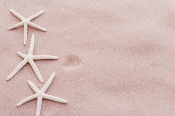 Fototapeta na wymiar starfish on Sandy beach background background for summer holiday and vacation concept.