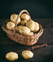 young fresh potatoes in a peel lay in a brown wicker basket