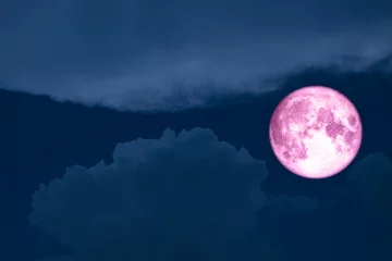 Rideaux occultants Pleine Lune arbre super lune entre silhouette tas nuage nuit ciel