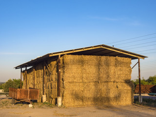 Fototapeta na wymiar Storage of harvested hay, fodder for cows, in agriculture in the open space under a canopy in the rays of sunset.