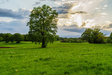 D, Bayern, Oberbayern,  Landschaft bei Rieden a. Ammersee