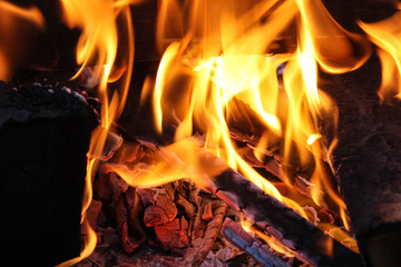 Fototapeta premium burning wood in the fireplace