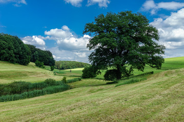 Fototapeta na wymiar D, Oberschwaben, Landschaft am Schloß Achberg
