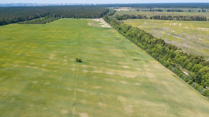 agriculture green fields aerial view