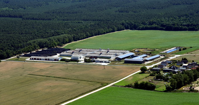 Friedländer Bilder Durchsuchen 170 Archivfotos, und