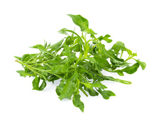 Fresh Watercress isolated on white background
